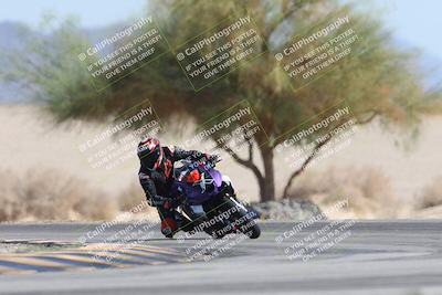 media/Oct-13-2025-Moto Forza (Mon) [[a66d839500]]/3-B Group/Session 4 Turn 4 Tree of Life/